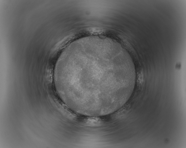 X0000115090666200911171219