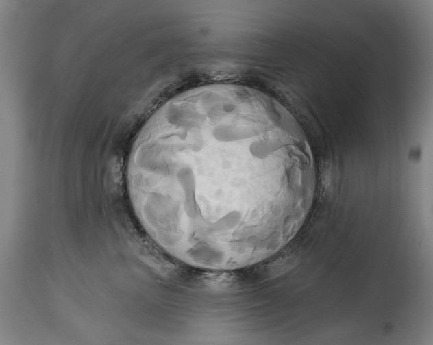 X0000115090667200911171219