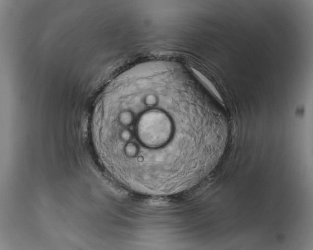 X0000115090668200911171219