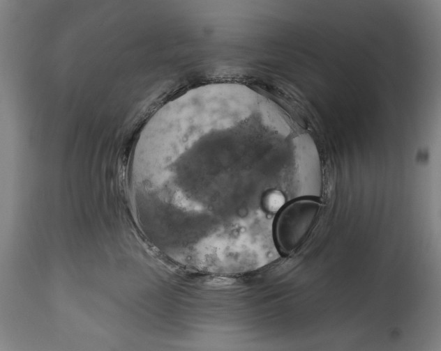 X0000115090669200911171219
