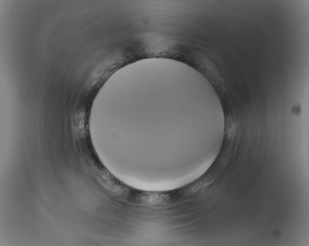 X0000115090670200911171219