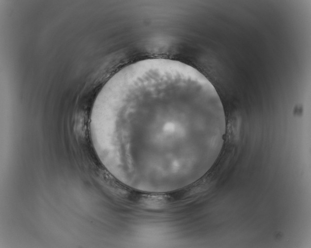 X0000115090671200911171219