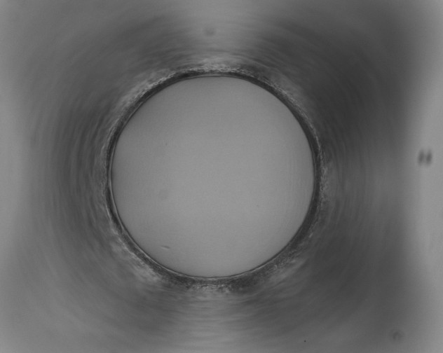X0000115090673200911171218