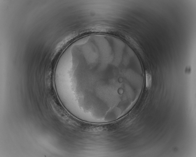 X0000115090675200911171218