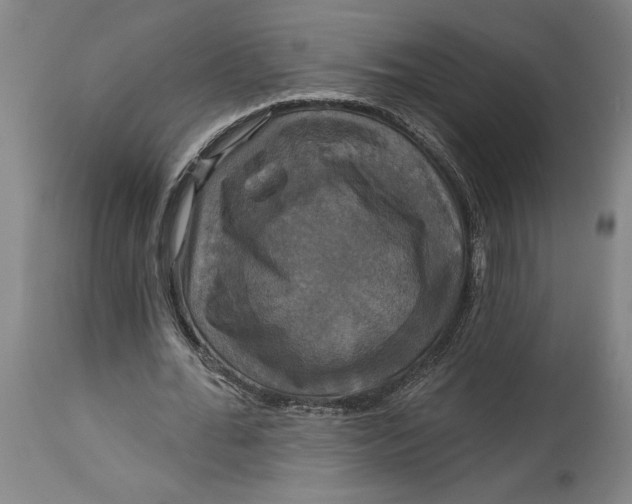 X0000115090676200911171218
