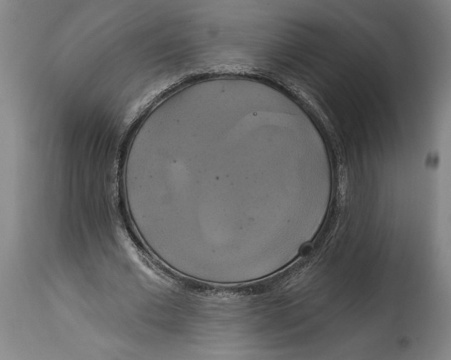 X0000115090677200911171218