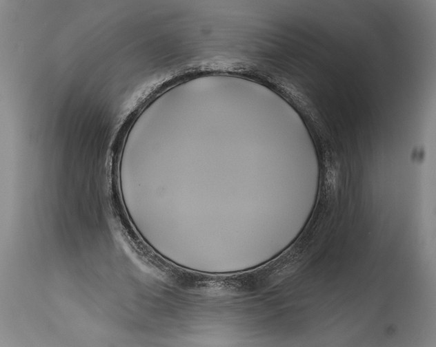 X0000115090678200911171218