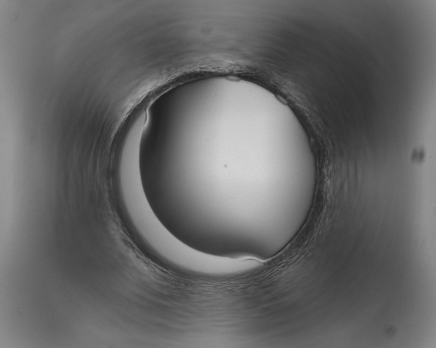 X0000115090679200911171218