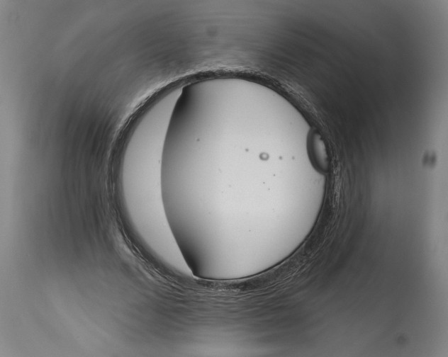 X0000115090680200911171218