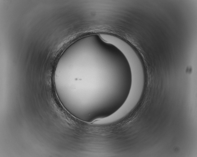 X0000115090681200911171218