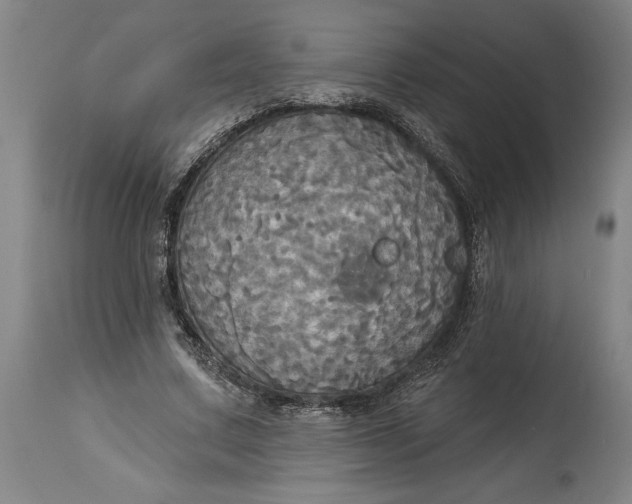 X0000115090683200911171218