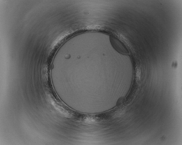 X0000115090684200911171218
