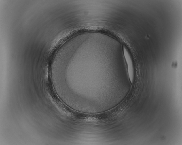 X0000115090685200911171218
