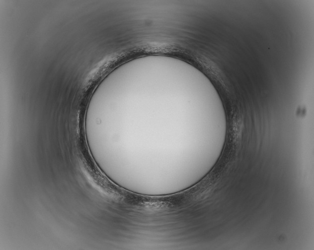 X0000115090686200911171218