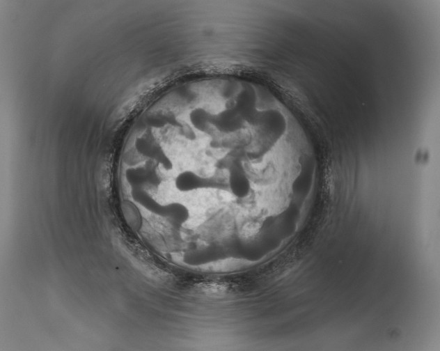 X0000115090687200911171218