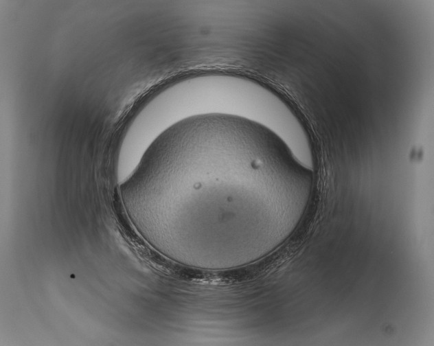 X0000115090688200911171218
