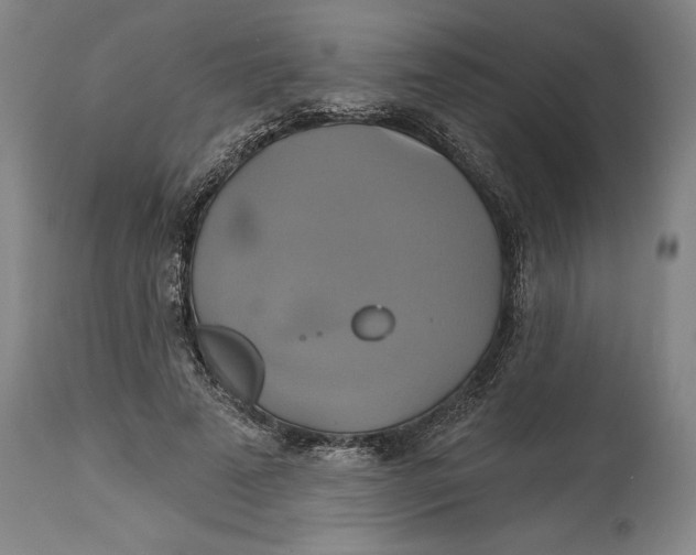 X0000115090689200911171218