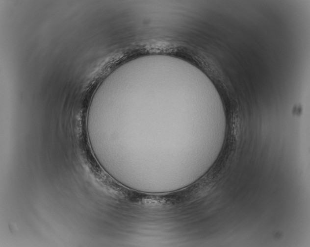 X0000115090690200911171218