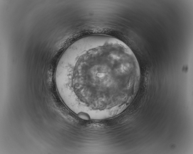 X0000115090691200911171218