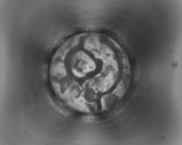 X0000115090695200911171218