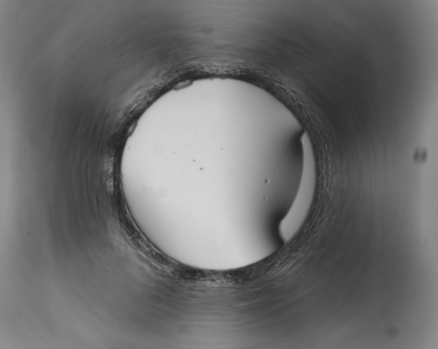 X0000115090696200911171218