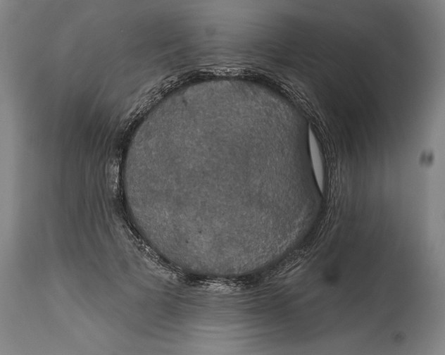 X0000115090697200911171218