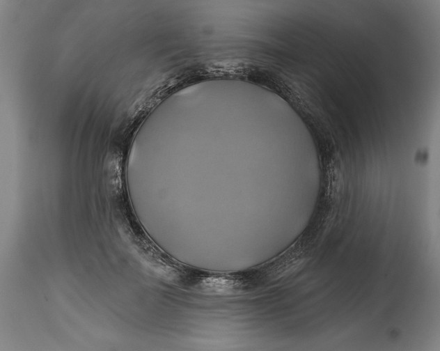 X0000115090699200911171218