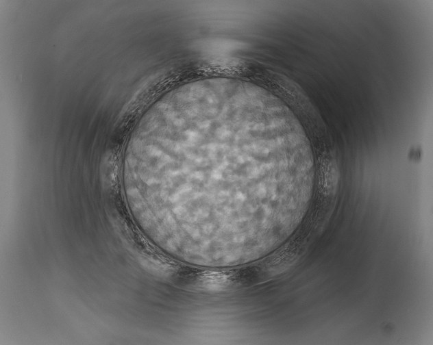 X0000115090701200911171218
