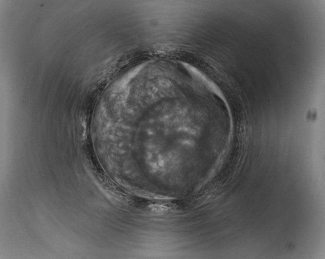 X0000115090703200911171218