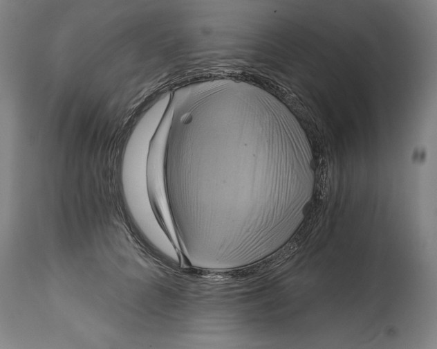 X0000115090704200911171218