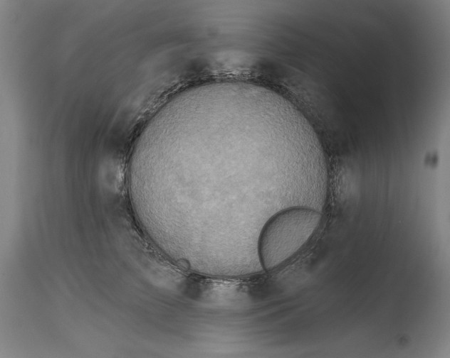 X0000115090709200911171217