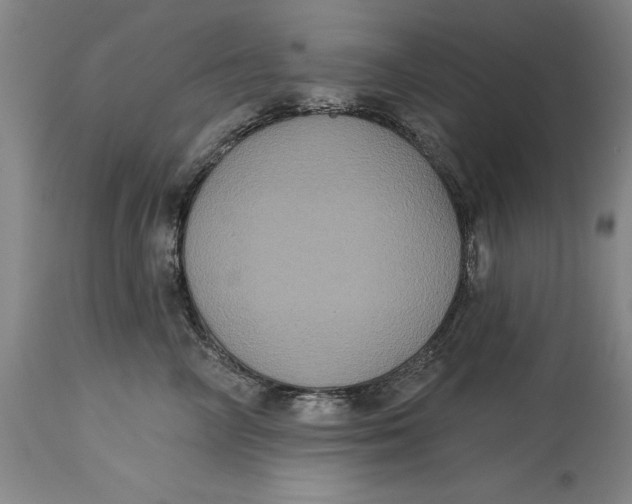 X0000115090714200911171217