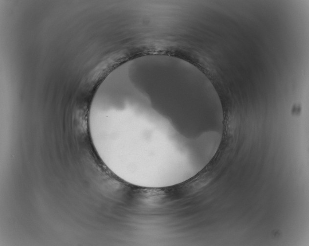 X0000115090719200911171217