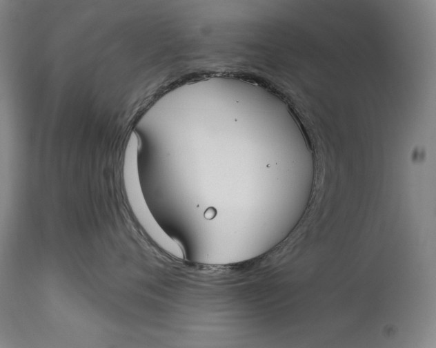 X0000115090720200911171217