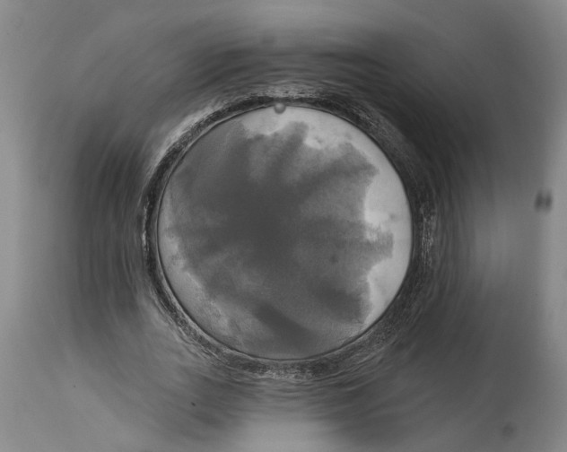 X0000115090727200911171217