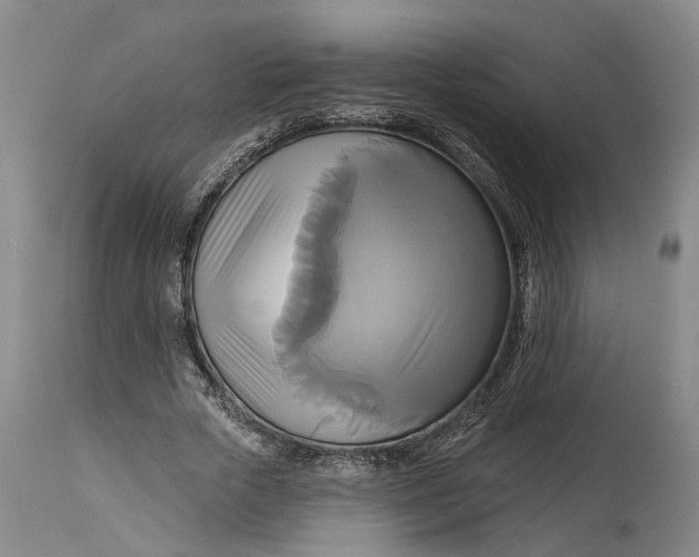 X0000115090729200911171217