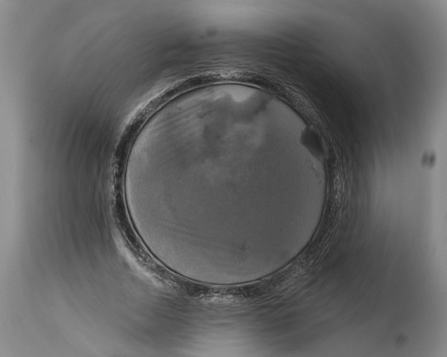 X0000115090730200911171217