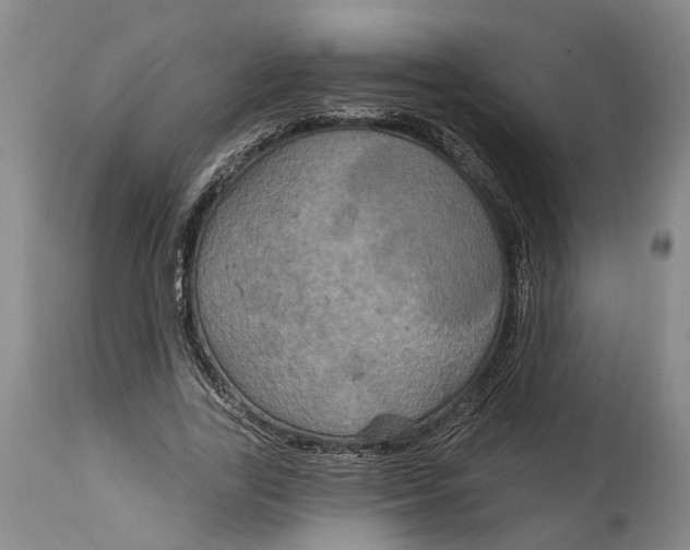 X0000115090731200911171217