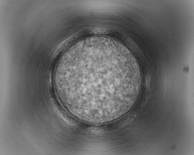 X0000115090733200911171217