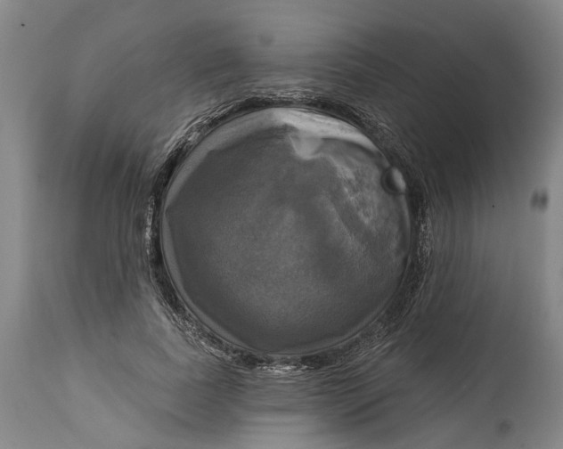 X0000115090739200911171217