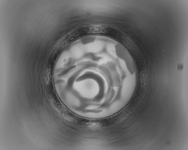 X0000115090741200911171217