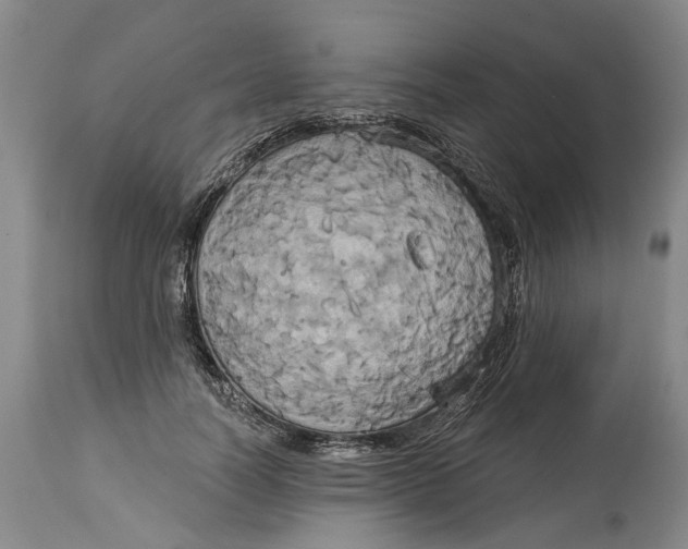 X0000115090746200911171217