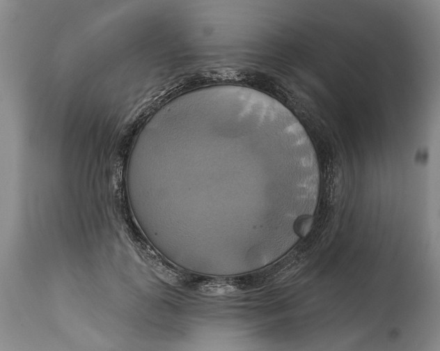 X0000115090747200911171217