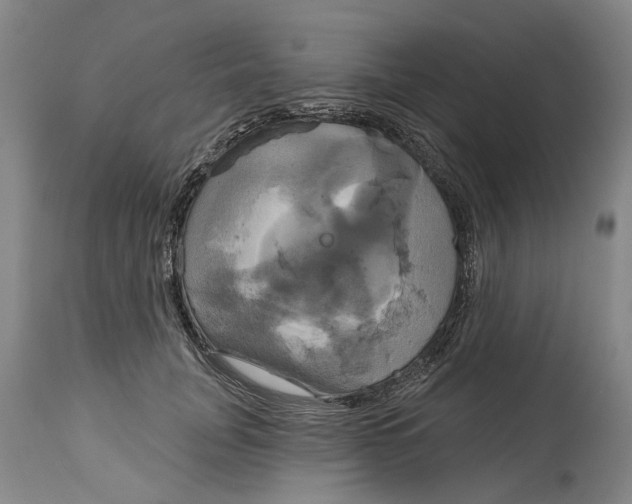 X0000115090751200911171217