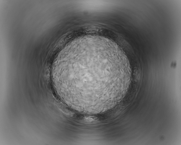 X0000115090753200911171217
