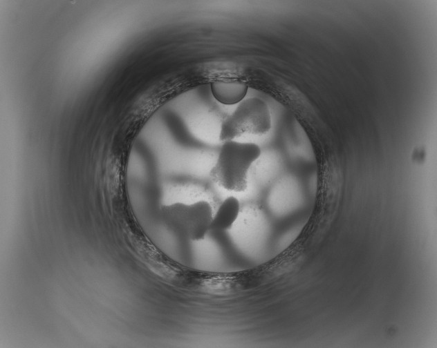 X0000115090761200911171217