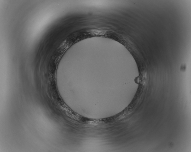 X0000115090763200911171217