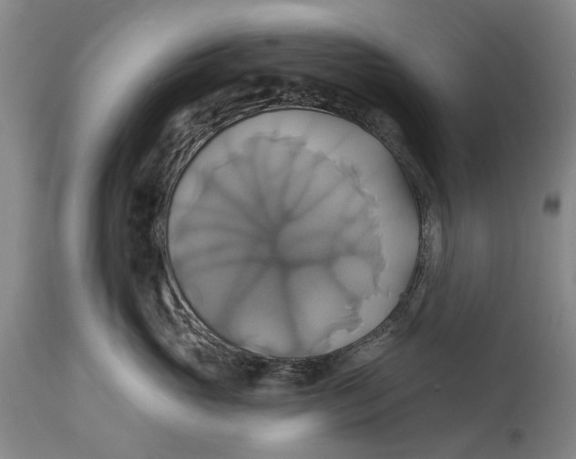 X0000115090765200911171217