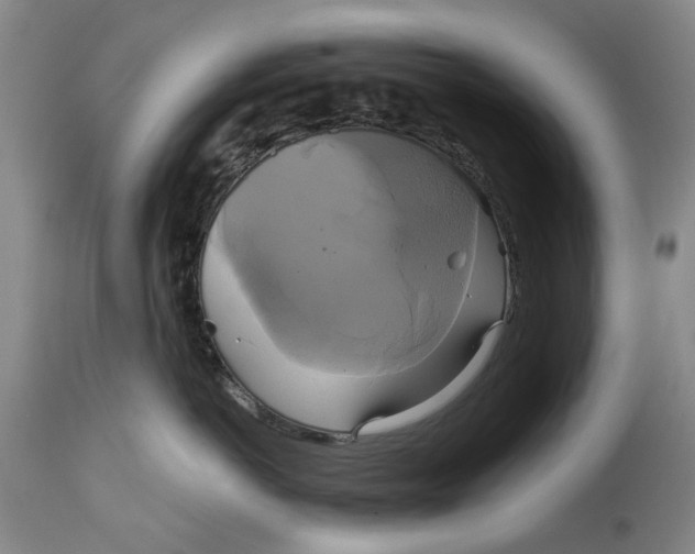 X0000115090766200911171217