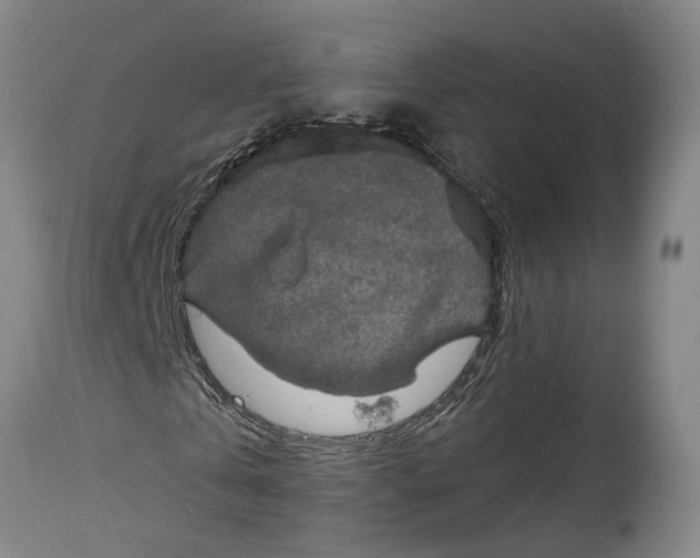 X0000115090769200911171216